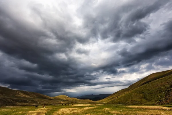 Καλοκαίρι βοσκοτόπων στην κοιλάδα intermontane. Σύννεφα βροχή. — Φωτογραφία Αρχείου