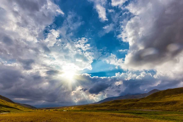 Pâturages d'été dans la vallée intermontagnarde . — Photo