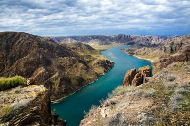 Ili Nehri bahar. Kazakistan. Almatı bölge