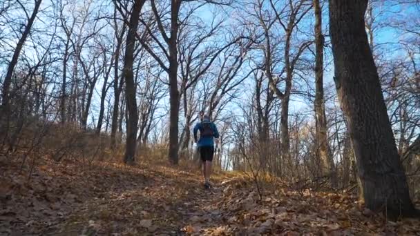 Idrottaren Springer Längs Stigen Höstskogen Manlig Idrottsman Tränar Skogen Hösten — Stockvideo