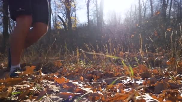 Gros Plan Sur Les Jambes Athlète Courant Long Sentier Forestier — Video