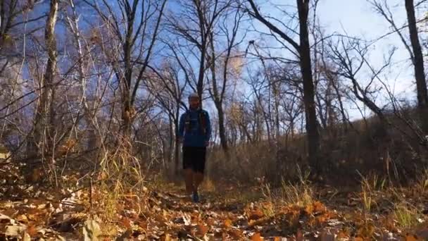 Sportler Laufen Den Weg Herbstwald Entlang Der Männliche Sportler Trainiert — Stockvideo