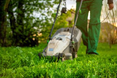 Çim biçme makinesi arka bahçede yeşil çim biçiyor.