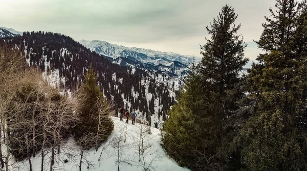 Viajeros en las montañas. Tres turistas están parados en la cresta de una cordillera entre los árboles. Turismo de montaña de invierno — Foto de Stock