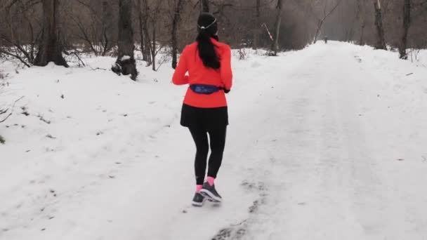 Atleta Corre Inverno Baum Park Competição Corrida Inverno Maratona Ano — Vídeo de Stock