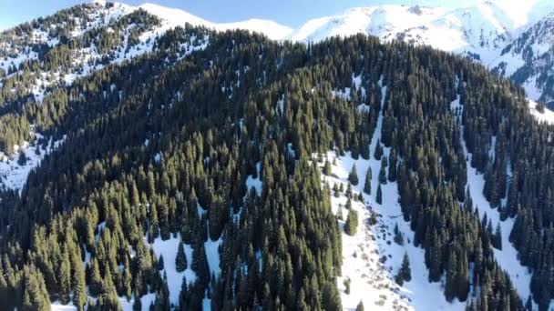 Hermosas Vistas Las Montañas Invierno Cubierto Abetos Región Almaty Valle — Vídeos de Stock