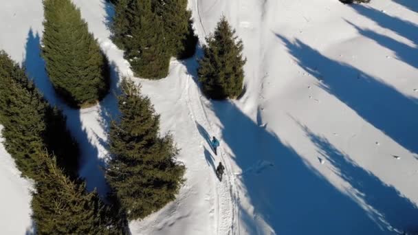 Inverno Montagna Due Escursionisti Salgono Sentiero Montagna Circondato Montagne Abeti — Video Stock