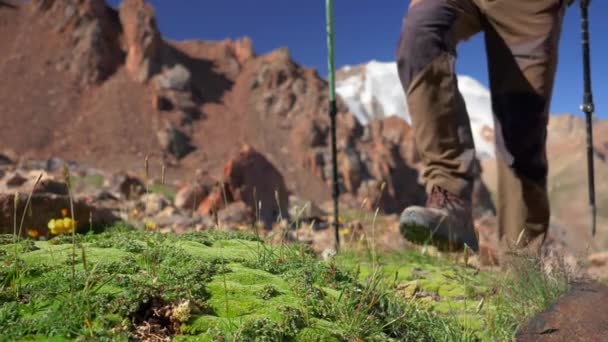 在山中行走的游客双腿的特写镜头 一个背着背包的家伙在高山上旅行 一位游客使用徒步杆在石头之间行走 慢动作 — 图库视频影像
