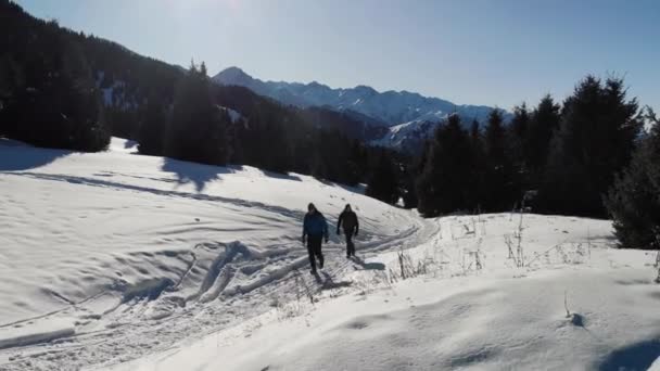 Χειμώνας Στα Βουνά Δύο Πεζοπόροι Σκαρφαλώνουν Ένα Ορεινό Μονοπάτι Περιτριγυρισμένο — Αρχείο Βίντεο