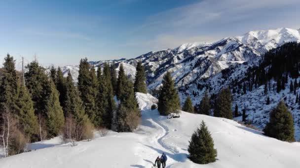Winter Mountains Two Hikers Climb Mountain Trail Surrounded Mountains Fir — Stock Video