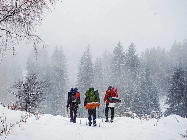 冬の森の中の3人の旅行者が大雪の道を歩く — ストック写真