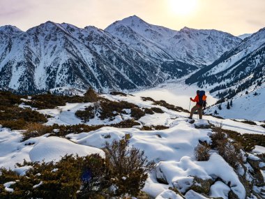 Hiker in the mountains in winter