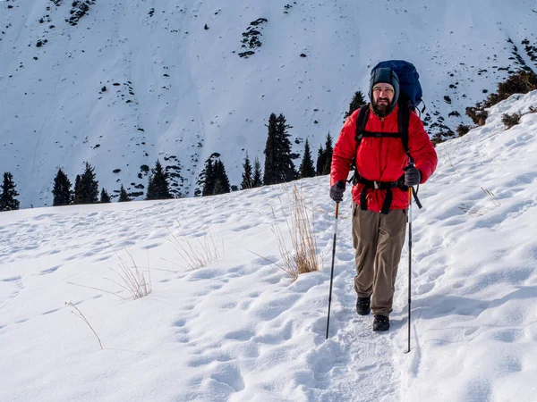 A bearded man with a backpack walks in the winter in the mountains — Stock Photo, Image