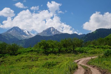 Kır yolu olan dağ manzarası. Dağların karla kaplı zirveleri, yeşil ormanlar, dağlara giden dolambaçlı yollar. Alma-Ata 'nın bölgesi. Kazakistan