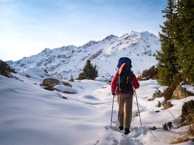 Mountain winter tourism. A man with a backpack walks in the winter mountains. Back view