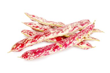 kırmızı çalı fasulyesi