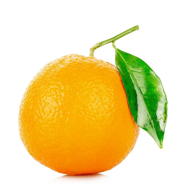 Fruto naranja aislado — Foto de Stock