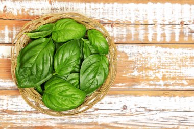 sepet içinde fesleğen