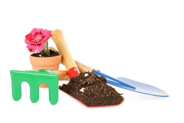 Bahçe öğeler izole