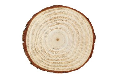 Ağaç kütüğü izole