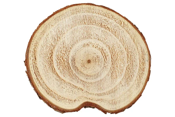 Κορμός ξύλου απομονωμένος — Φωτογραφία Αρχείου