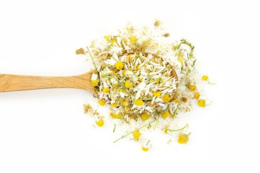 Beyaz papatya çiçeği kepçesi.