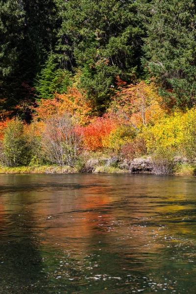 Fall Colors by River — Stock Photo, Image