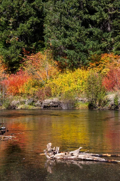 Fall Colors by River — Stock Photo, Image