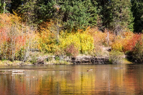 Flussufer in Herbstfarbe — Stockfoto