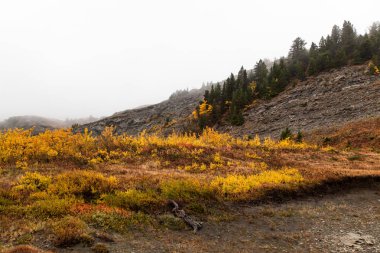 Sonbaharın katmanları