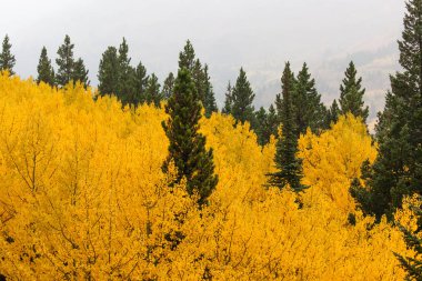 Ülke sonbahar manzara