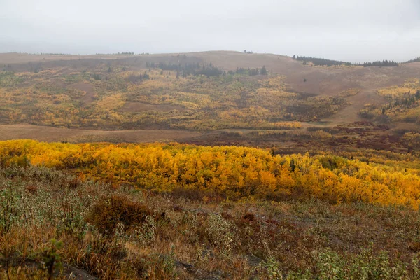 Fall River ağaçların arasından Vadisi