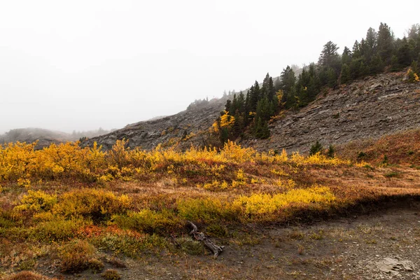Sonbaharın katmanları
