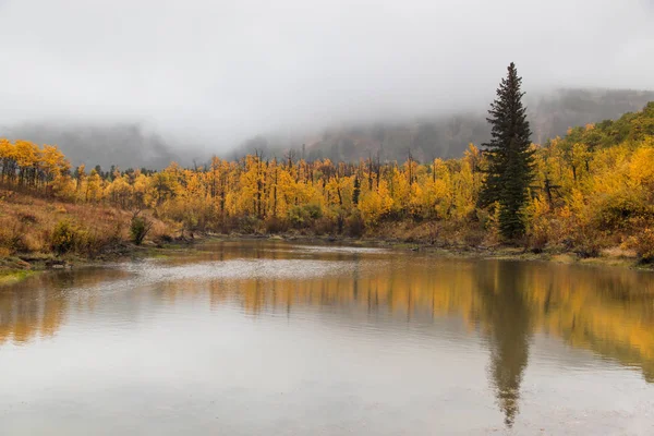 Reflejo de abeto en el paisaje de otoño — Foto de Stock