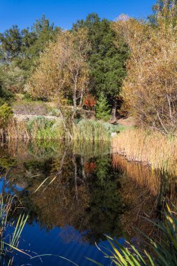 Gölet sonbaharda yansıtan