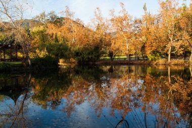 Sonbahar gölet sahne