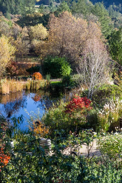 Lushly peyzajlı bahçe 