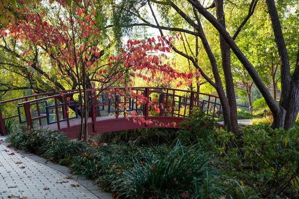 En röd bro i en trädgård — Stockfoto