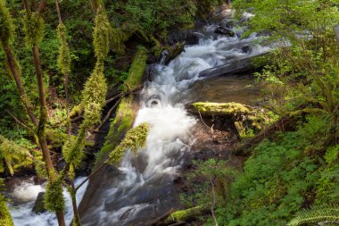 Latourell Creek, Oregon