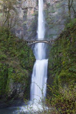 Multnomah Falls, Oregon