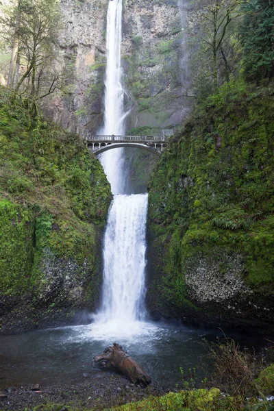 Multnomah Falls, Oregon — Stockfoto