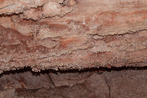 Formations du parc national Wind Cave — Photo