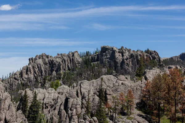 Θέα από το Black Elk Peak Trail — Φωτογραφία Αρχείου