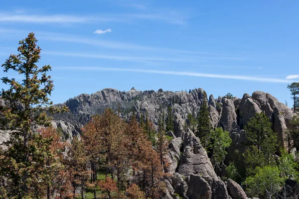 Pohled ze stezky Black Elk Peak — Stock fotografie