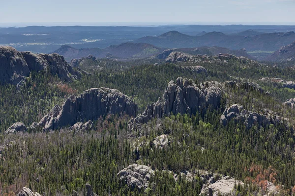 Vue de Black Elk Peak — Photo