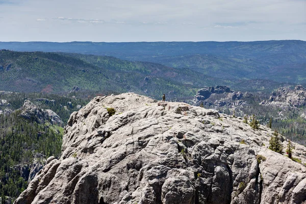 Människa och bergsgetter på Black Elk Peak — Stockfoto