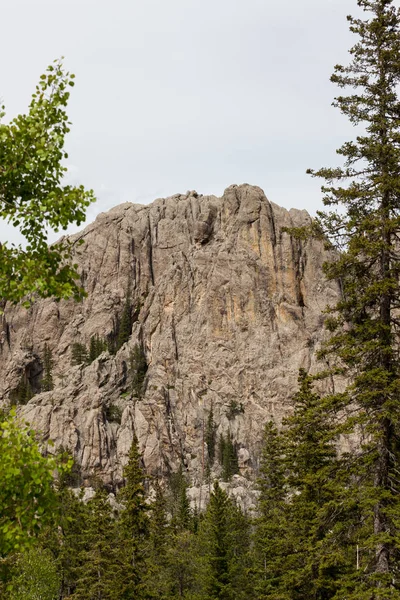 Σχηματισμός βράχου στο πάρκο Custer State — Φωτογραφία Αρχείου