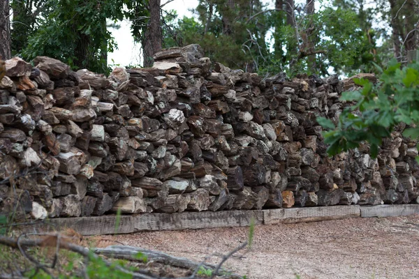 Pila de madera petrificada —  Fotos de Stock