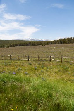 Uzak Dağlarla Wyoming Manzarası