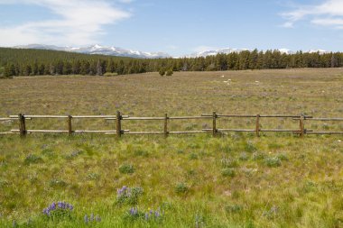 Uzak Dağlarla Wyoming Manzarası